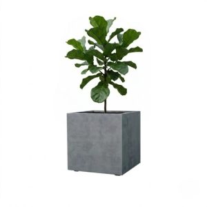 Macetero Cubo Hormigón 40x40